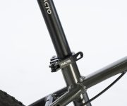 GAZELLE DE WEB00009