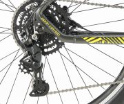 GAZELLE DE WEB00011