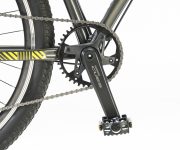 GAZELLE DE WEB00013