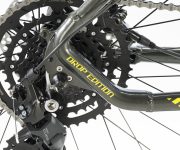 GAZELLE DE WEB00016