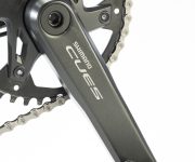GAZELLE DE WEB00020