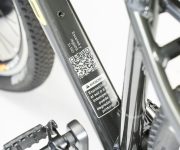 GAZELLE DE WEB00023