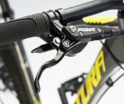 GAZELLE DE WEB00029