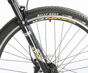 GAZELLE DE WEB00031