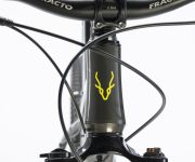 GAZELLE DE WEB00032