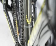 GAZELLE DE WEB00034