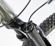GAZELLE DE WEB00038