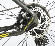 GAZELLE DE WEB00044