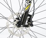 GAZELLE DE WEB00046
