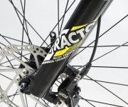 GAZELLE DE WEB00047