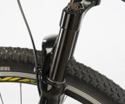 GAZELLE DE WEB00049