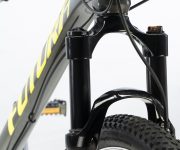 GAZELLE DE WEB00050