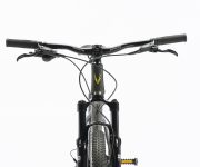 GAZELLE DE WEB00051